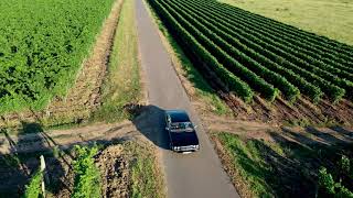 DAIMLER DD6  CZP  Winery in style  Drone  2020  4K [upl. by Azilef297]