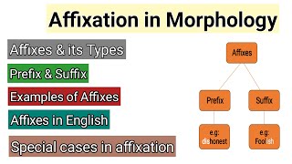 Affixation in Morphology  Affixes amp its types  Prefix and suffix examples  Words Formation Proces [upl. by Tertius]