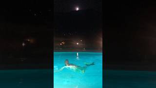 Merman Ariel full moon swim 🧜‍♂️🌕✨ merman mermaid fullmoon [upl. by Lunseth]