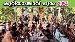 Kuttiyankavu Pooram 2024 കുറ്റിയാംങ്കാവ് പൂരം 2024 [upl. by Lanfri]