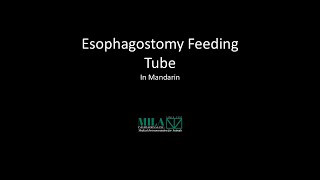 寵物2 食道胃管 Esophagostomy Feeding Tube [upl. by Ikairik]