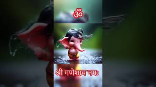 Sukhkarta dukhaharta Ganpati [upl. by Ainatnas]