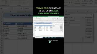 FORMULARIO DE ENTRADA DE DATOS EN EXCEL PARA PRINCIPIANTES [upl. by Nomahs352]