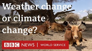 When does weather change become climate change  BBC World Service [upl. by Grew]