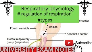 Regulation of respirationtypes of Regulation of respirationmedicoscontent3135 [upl. by Strader]