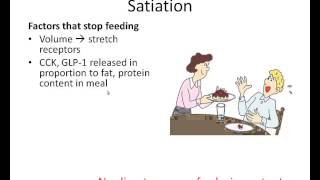 Regulation of Satiety and Satiation [upl. by Bud]