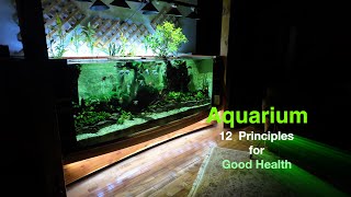 quotCreative Ideasquot for your aquarium maintenance amp new aqua culture tank setup [upl. by Ainyt]