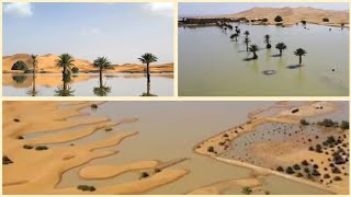 Sahara Deserts First Floods in 50 Years A Climate Change Perspective [upl. by Eal]