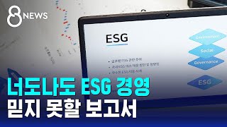 너도나도 ESG 경영…믿지 못할 보고서  SBS 8뉴스 [upl. by Ylebmik773]