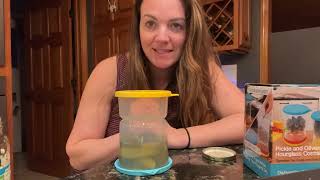 Review of Sophico Pickle and Olives Jar Container with Strainer [upl. by Lennod]