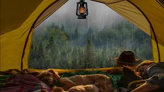 Ik Slaap in Deze Tent op een Regenachtige dag in een Mistig Bos  Geluiden van Regen in Slaap [upl. by Spieler]