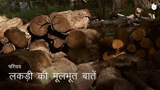 लकड़ी का काम सीखो Basics of Wood  Woodworking [upl. by Zap709]