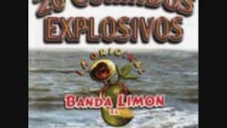 BANDA EL LIMON CANDIDO RODRIGUEZ [upl. by Eibob]