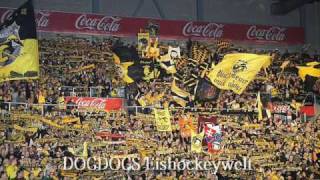 Krefeld Pinguine Die Besten Fans der Welt [upl. by Atteuqaj942]