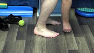 Tibialis Posterior and Fibularis Longus Rehabilitation [upl. by Leban]