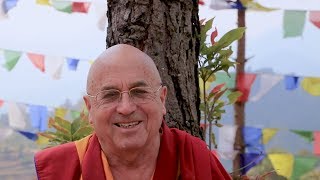 Matthieu Ricard – El Simple Secreto de la Felicidad [upl. by Landry]