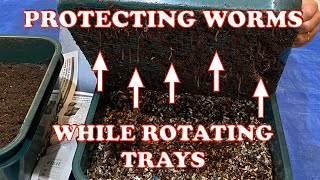 How To Rotate Worm Tower Trays Without Damaging Worms  Bin Harvest  Vermicompost Worm Farm [upl. by Anoyek]