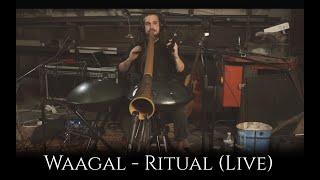 Waagal  Ritual Live 4k  Didgeridoo Handpan Asalato One Man Band Kashaka Cascas [upl. by Verlie]