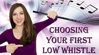 CHOOSING YOUR FIRST LOW WHISTLE  Helpful Tips And Suggestions [upl. by Liuka]