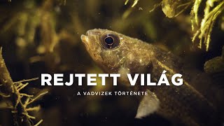 REJTETT VILÁG A VADVIZEK TÖRTÉNETE  Magyar természetfilm [upl. by Nakah]