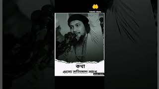 Abu taha Adnan quransuraHadiswazNew video Newsসুরাgazaislamwazsura [upl. by Haraz661]