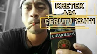 Review djarum cigarillos ini tuh sebenernya kretek apa cerutu yah [upl. by Shuler]