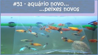 Aquário novo peixes novos [upl. by Dirgni]