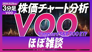 【VOO】Vanguard SampP 500 ETF ほぼ雑談です。 [upl. by Eynahpets291]