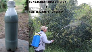 POTENTE Fungicida Insecticida y Fertilizante Casero Plantas Libre de Plagas y muy Hermosas [upl. by Merla242]