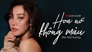 HOA NỞ KHÔNG MÀU HOÀI LÂM  VĂN MAI HƯƠNG  LIVE COVER [upl. by Kella]