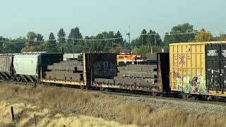 Idaho falls yard with a mixed consist [upl. by Enylecoj]