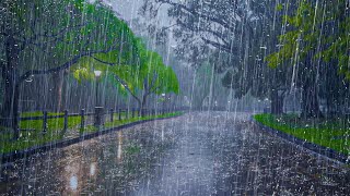 FORTE PLUIE pour Dormir et Éliminer linsomnie  Bruit de la Pluie et Orages dans Parc Calme [upl. by Carolina]