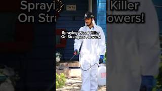 Weed killer on strangers flowers prank [upl. by Macswan]