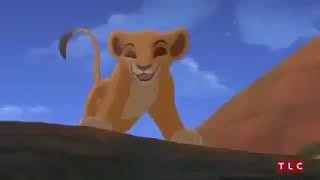 Le Roi Lion Simba dessin animé film complet en francais pour les enfants [upl. by Caitlin]