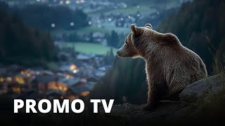 PERICOLOSAMENTE VICINI 2024  Promo tv [upl. by Chrissy]