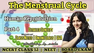 The Menstrual Cycle  Human Reproduction Part 4  NCERT  NEET  CLASS 12  CBSE  ISCE Concept [upl. by Emogene847]