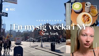 En mysig vecka i New York [upl. by Acnaib]