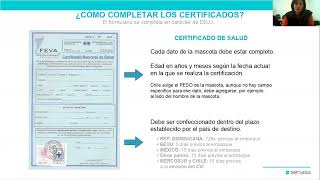 2024 08 22  SENASA CMVSF Tramitación del Certificado Veterinario Internacional CVI [upl. by Chenee]