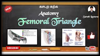 Femoral Triangle  Human Anatomy  In Tamil [upl. by Han]