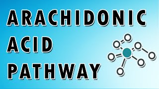 Arachidonic Acid Pathway [upl. by Myke]