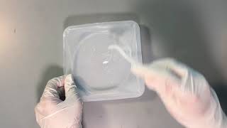 Microfluidics 101 How to Make PDMS [upl. by Eirb]