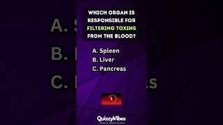 🧠 Quickfire Body Quiz How Well Do You Know Your Organs humanbody anatomy quiztime [upl. by Wiese]