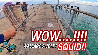 I was having conversation when this happened  Wallaroo Jetty [upl. by Leela]