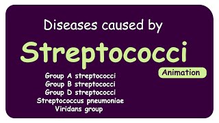 streptococcal infections Microbiology  group A streptococcal GAS infections Hindi Urdu [upl. by Tol]