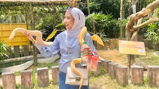 A Famosa Safari Wonderland Melaka with Family [upl. by Laekcim]