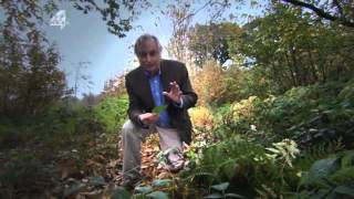 Richard Dawkins  Understanding The Meaning Of Life [upl. by Eeliah]