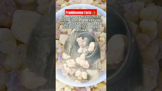 Frankincense oil has been used as perfume for over 6000 years frankincense facts factshorts [upl. by Gemma]