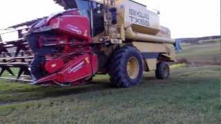 New Holland TX 65 beim Buchweizen dreschen HD [upl. by Tareyn384]