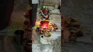 Dwadashi tulasi Pooja youtubeshorts devotional  shannu mumma [upl. by Feldt599]