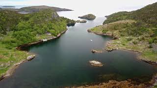 Irelands eye Newfoundland aerial view [upl. by Cyler]